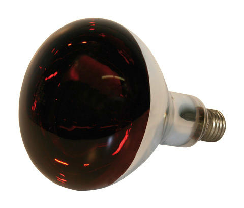 Göbel Hartglas-Infrarotlampe rot, 150 Watt