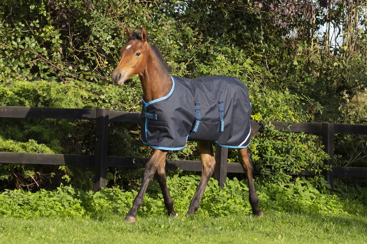 Horseware Amigo Foal Rug Ripstop 200 g