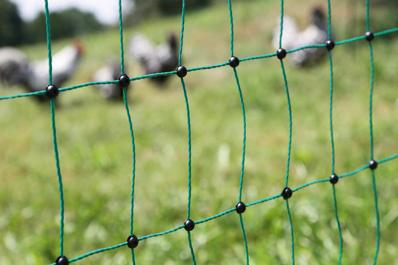 Kerbl PoultryNet Hühnerzaun 106cm, 25m lang