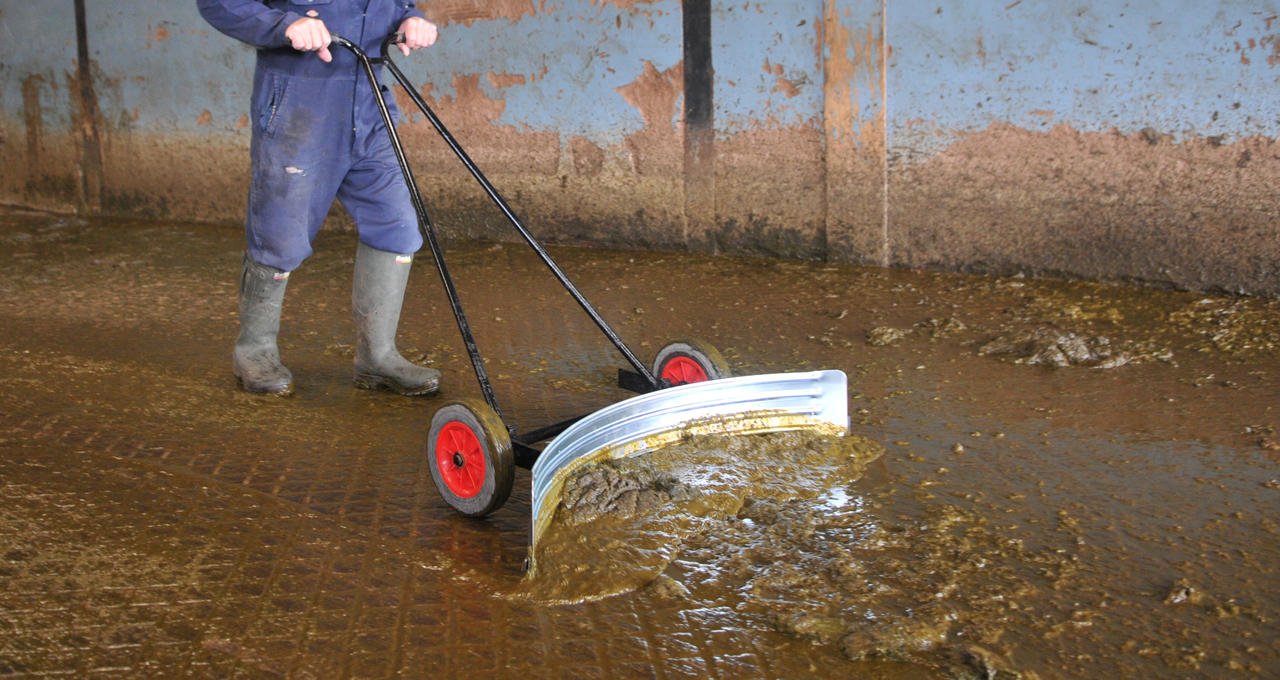 Halbrunde Krücke mit Fahrgestell 117 cm