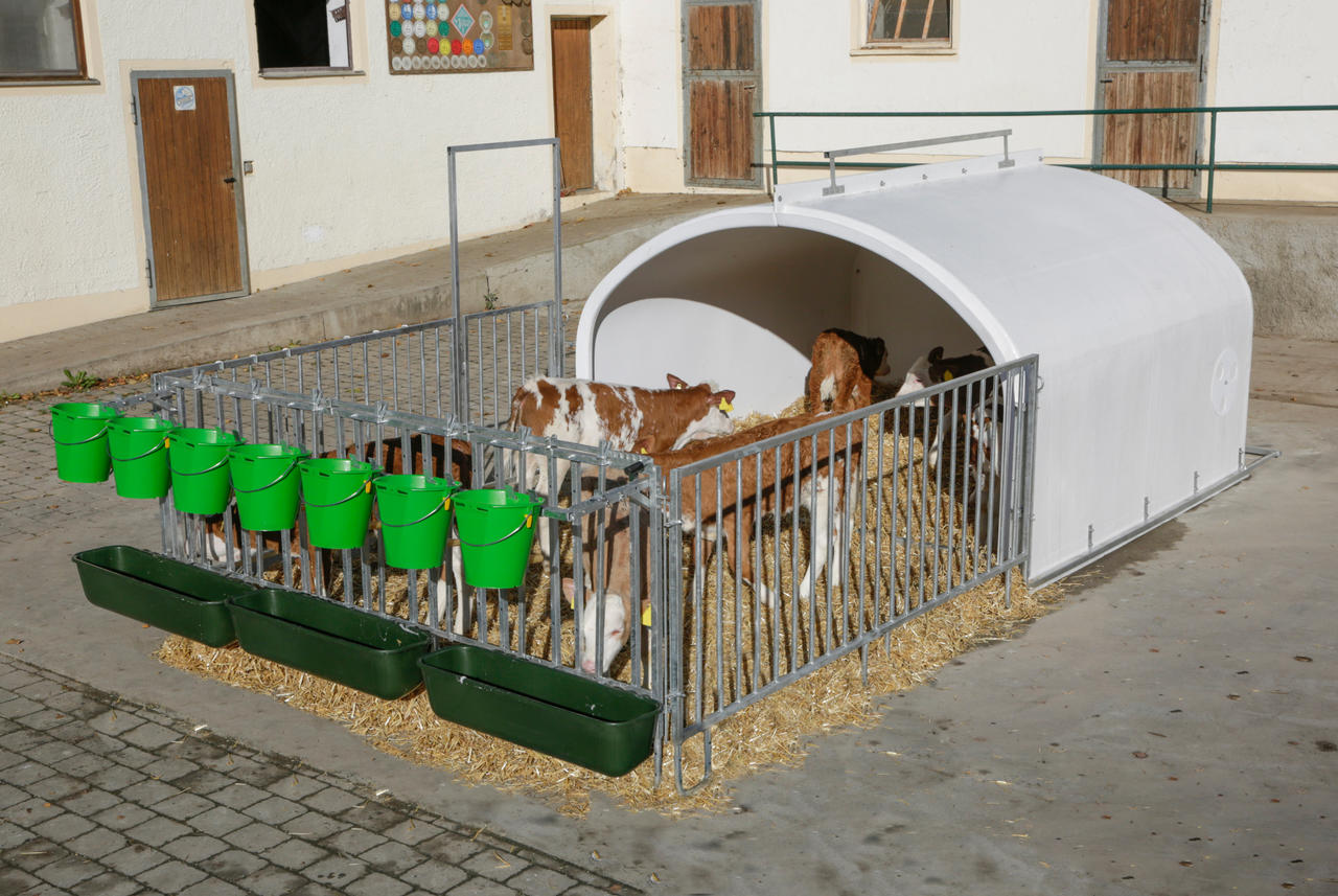 Kerbl CalfHouse Premium XXL mit Umzäunung