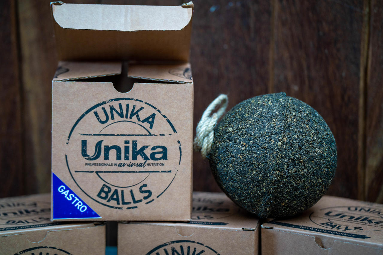 Unika Balls Gastro