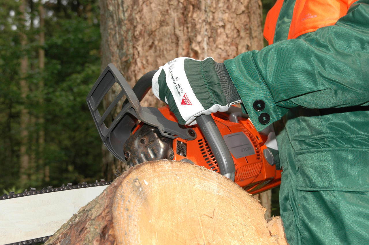 HASE WALDARBEITER-HANDSCHUH -FOREST WORKER I