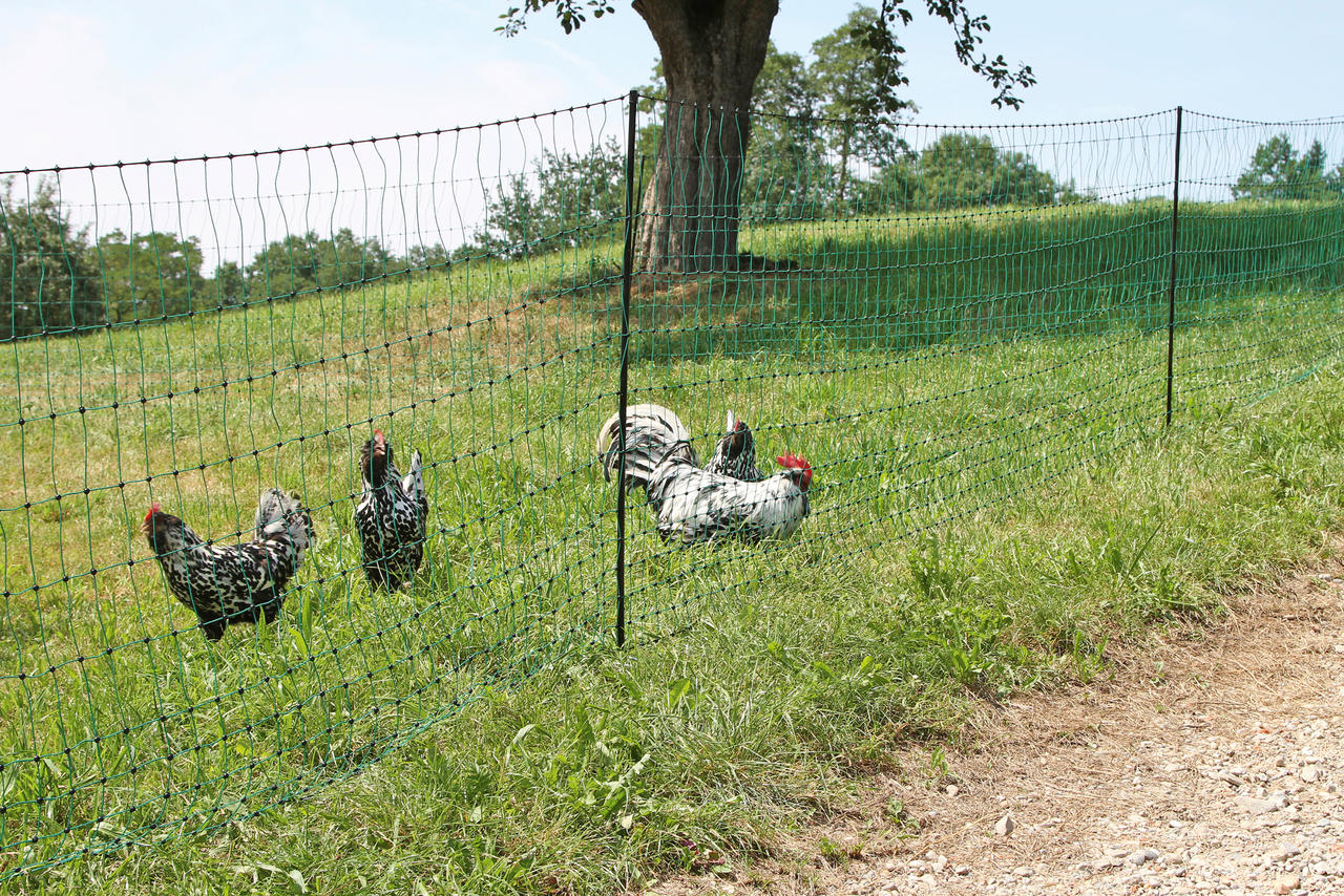 Kerbl PoultryNet Hühnerzaun 106cm, 25m lang