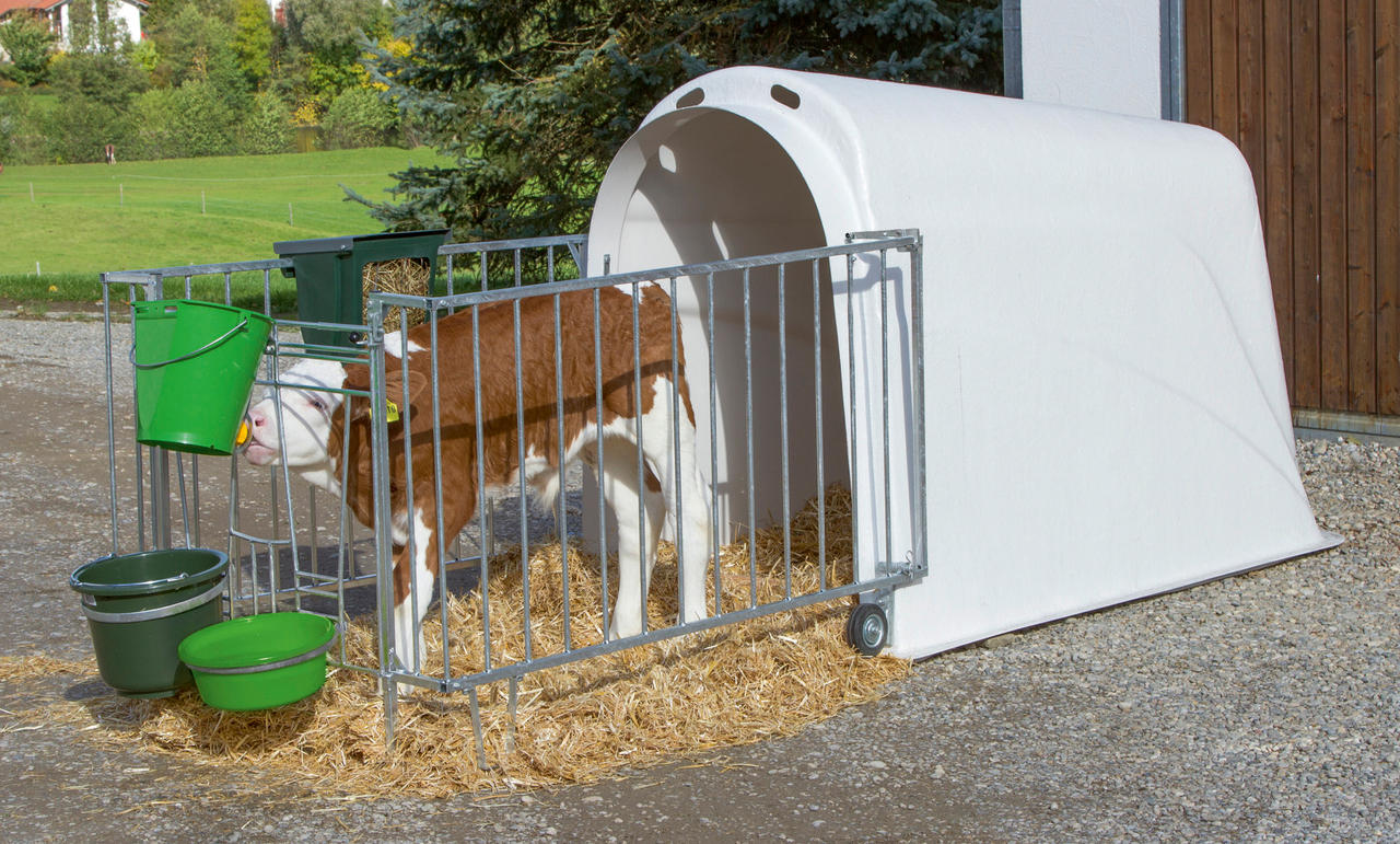 Kerbl Kälberiglu CalfHouse Master Plus, schwer