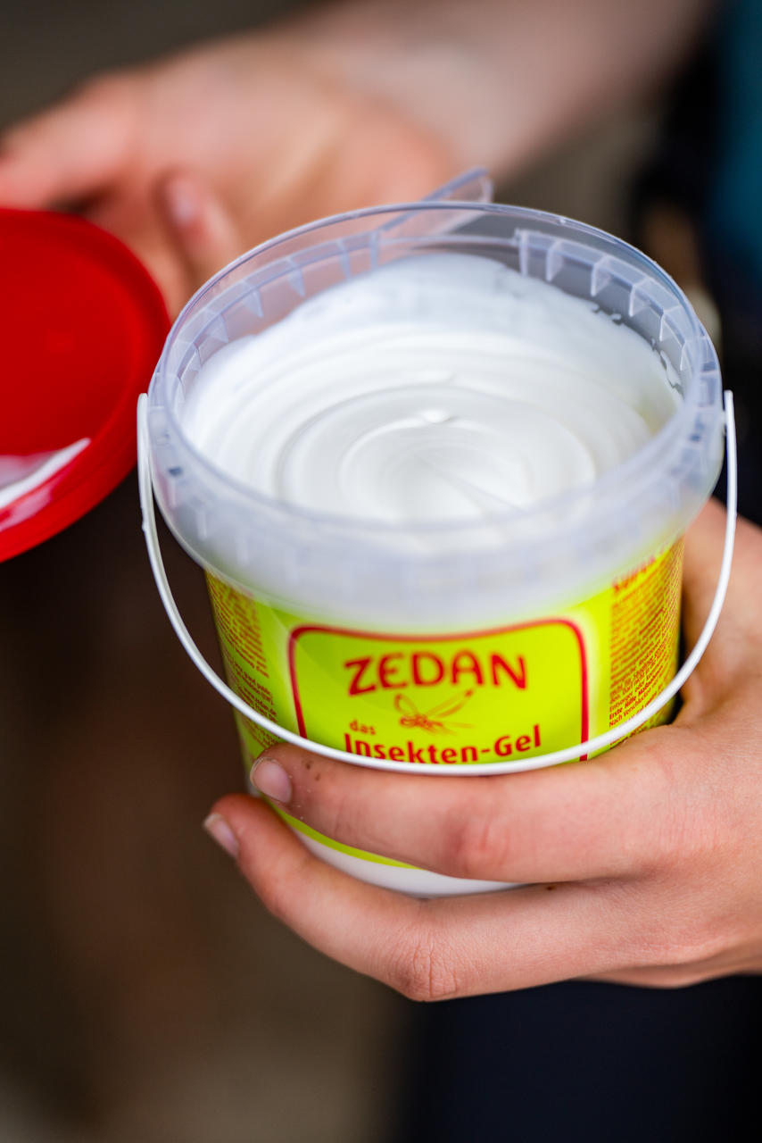 Zedan SP Insekten Gel 500 ml Eimer