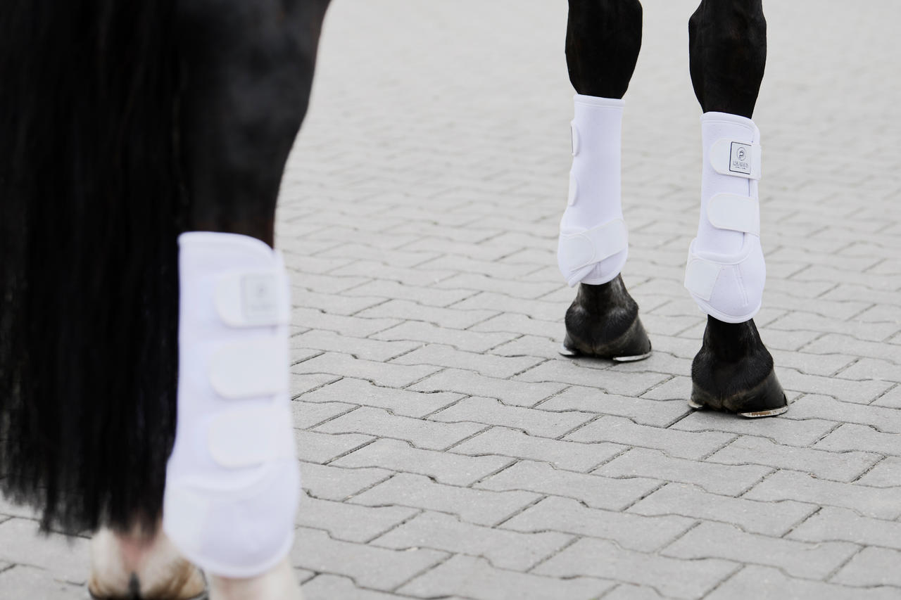 Eskadron Gamaschen PRO DRESSAGE FRONT