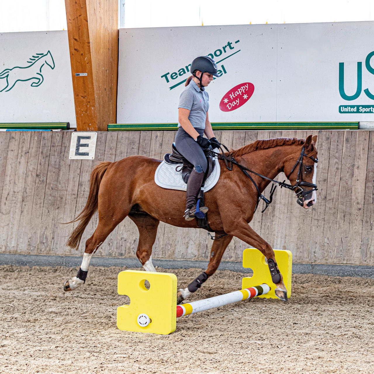 USG Agility Cavaletti Block