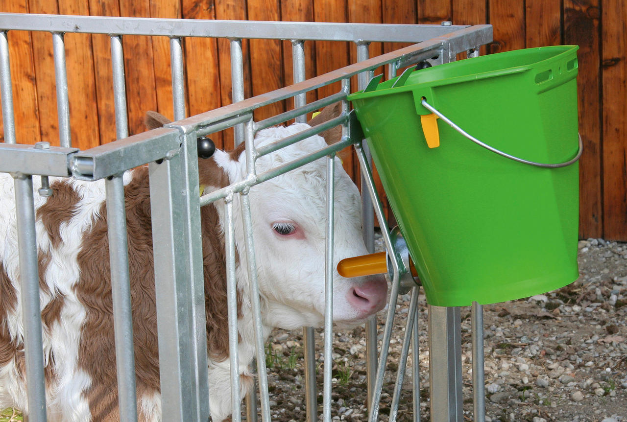 Kerbl Tränkeeimer mit Hygieneventil, komplett