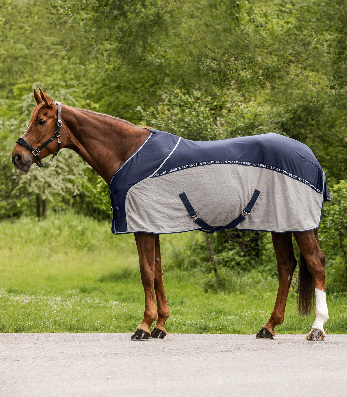 Waldhausen Cooler Fliegen-Sommerdecke