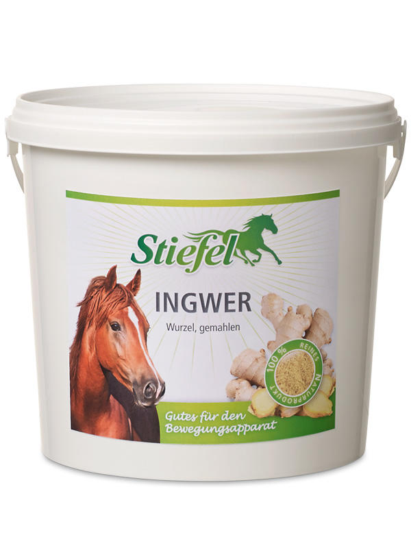 Stiefel Ingwer, gemahlen 1 kg