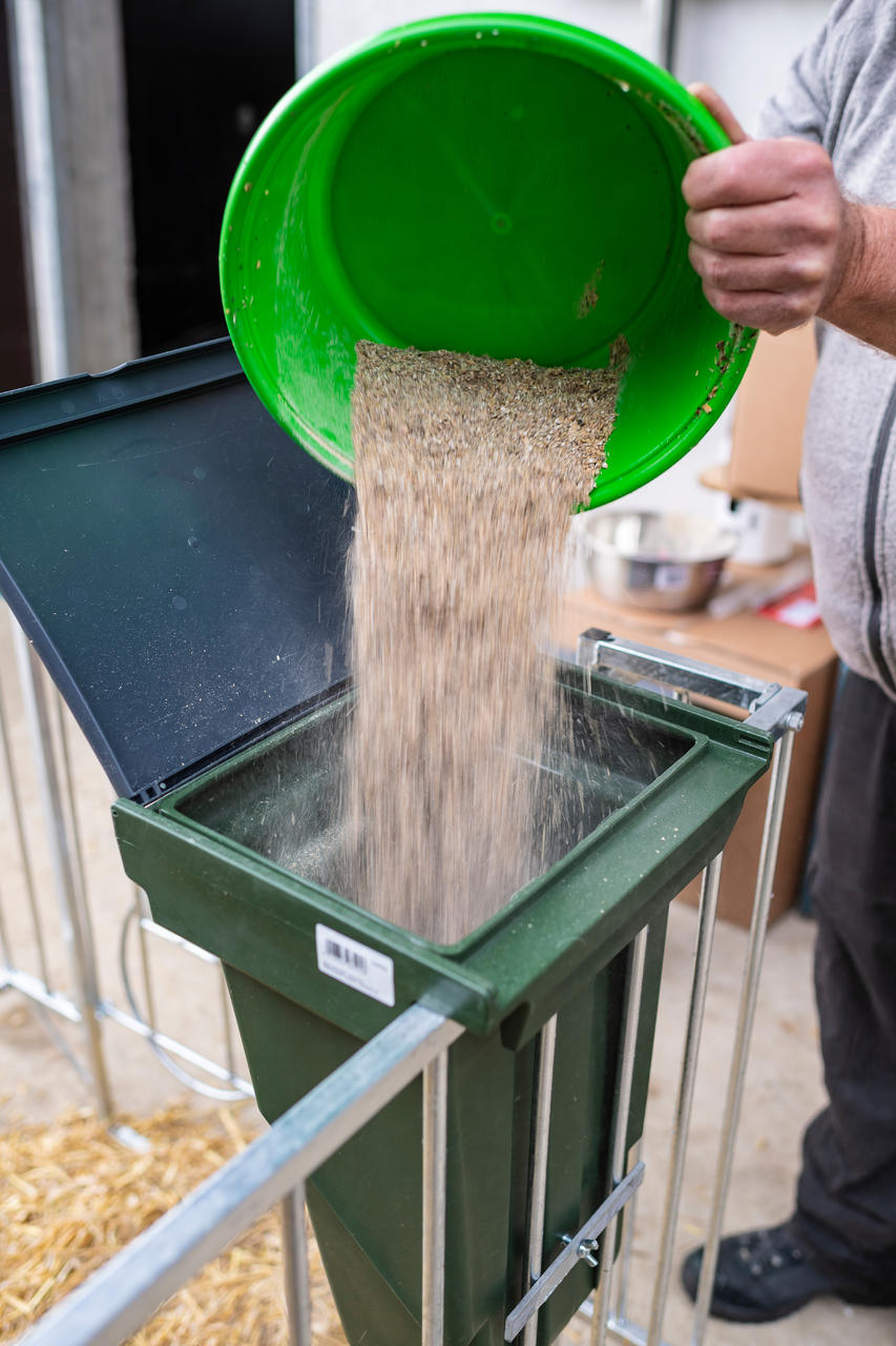 Kerbl Futterschale 6 Ltr. Kunststoff, grün