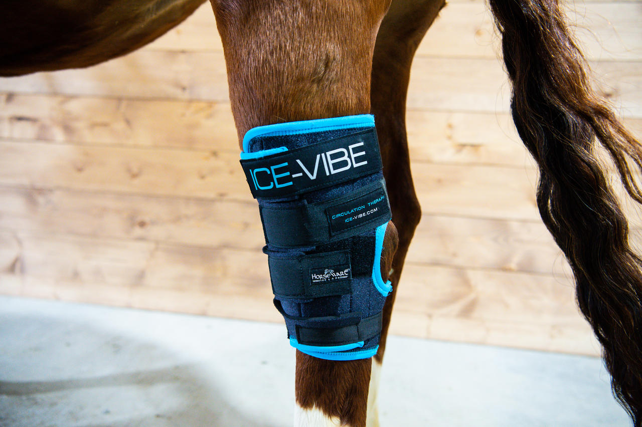 Horseware Ice-Vibe Hock Wrap