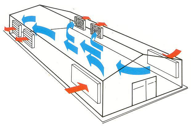 Ventilator Elostar ESO 80 / 230 V / IE1