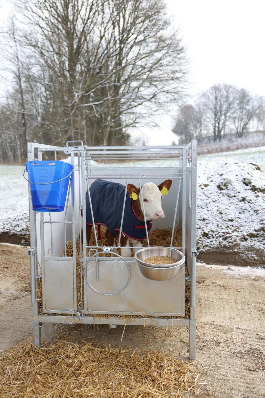 Kerbl Kälberbox Premium mit schwenkbarem Boden