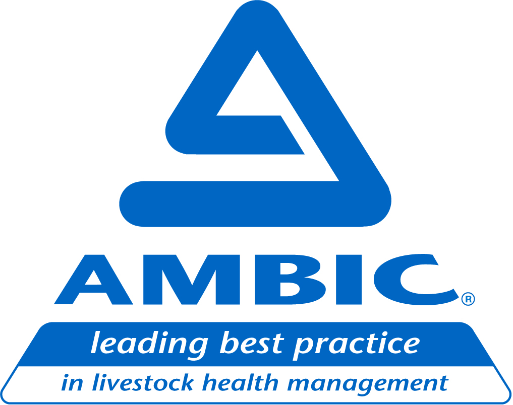 AMBIC_LOGO_Strapline_LD