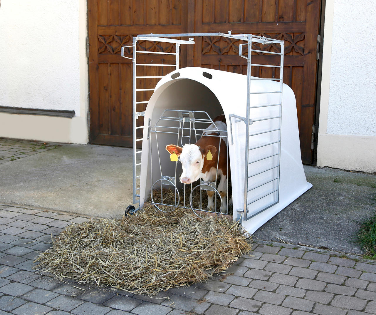 Kerbl Kälberiglu CalfHouse Master Plus, schwer