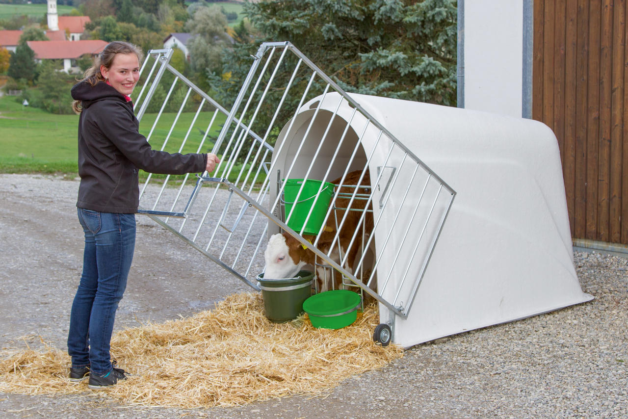 Kerbl Kälberiglu CalfHouse Master Plus, leicht