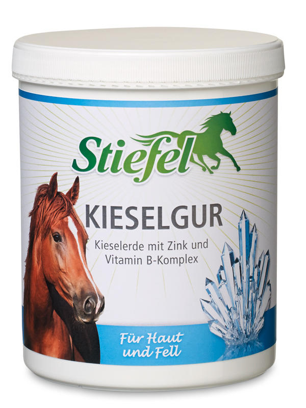 Stiefel Kieselgur 1 kg