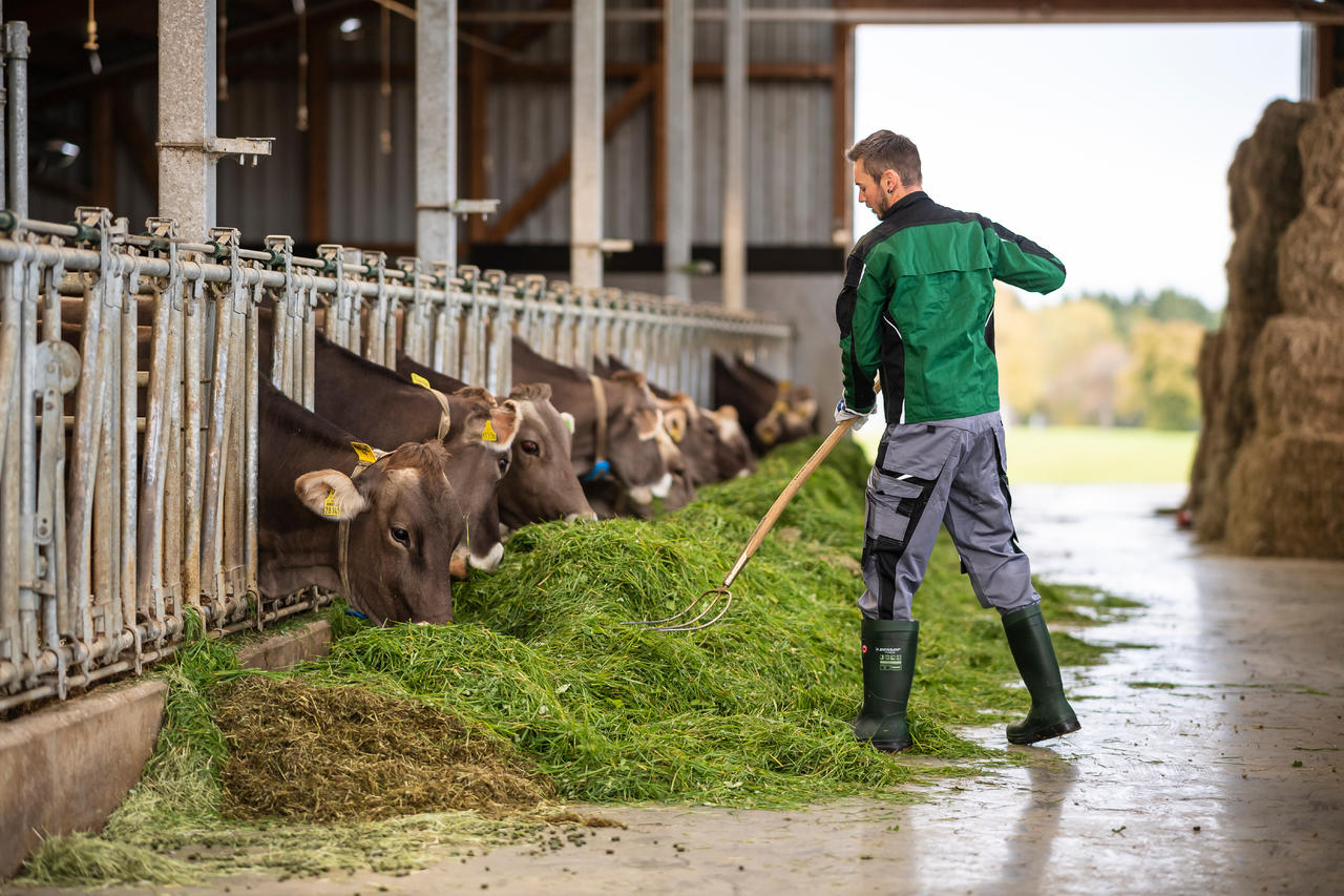 Dunlop ® Stiefel Purofort® FieldPRO