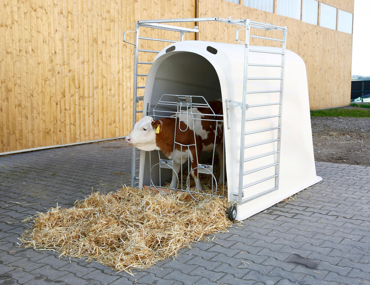 Kerbl Kälberiglu Calfhouse PREMIUM PLUS leicht