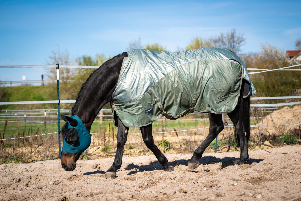 Busse Outdoordecke RAINFLY