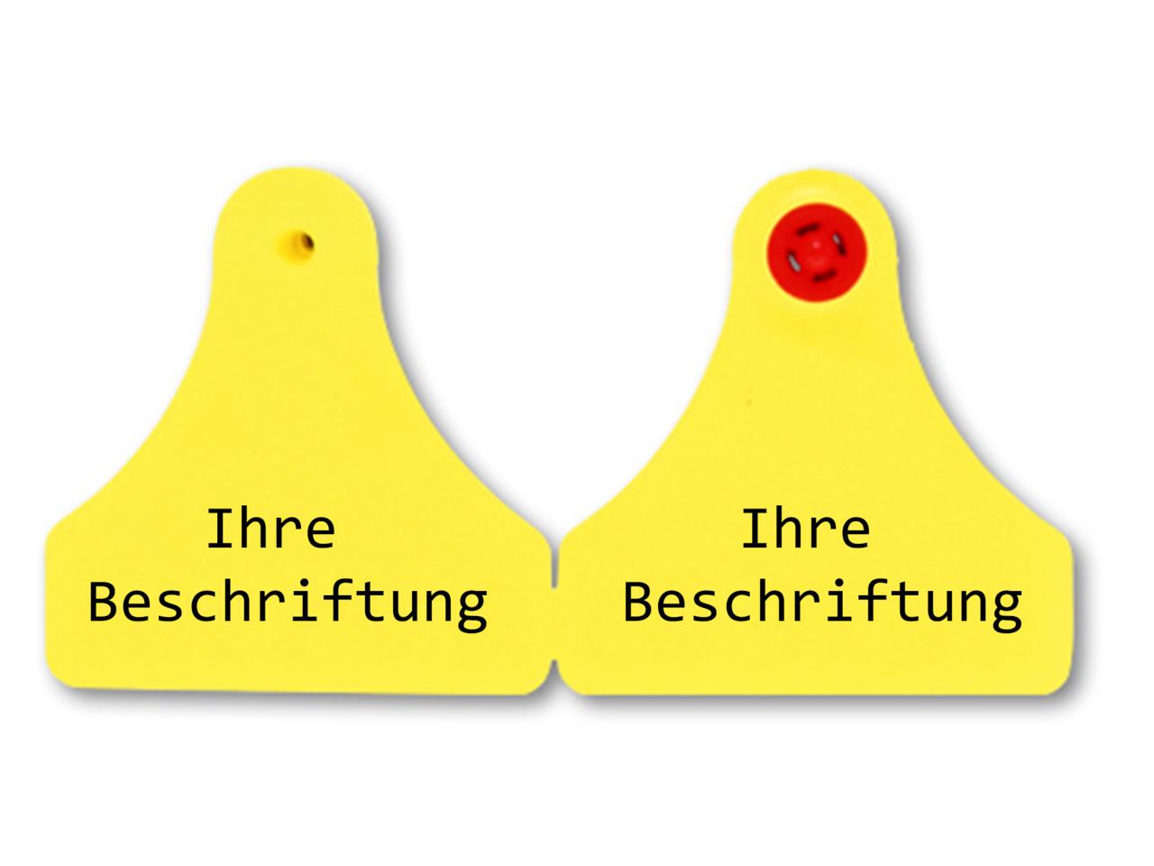 Caisley FLEXOPLUS - Ohrmarke F/F 25 Stück