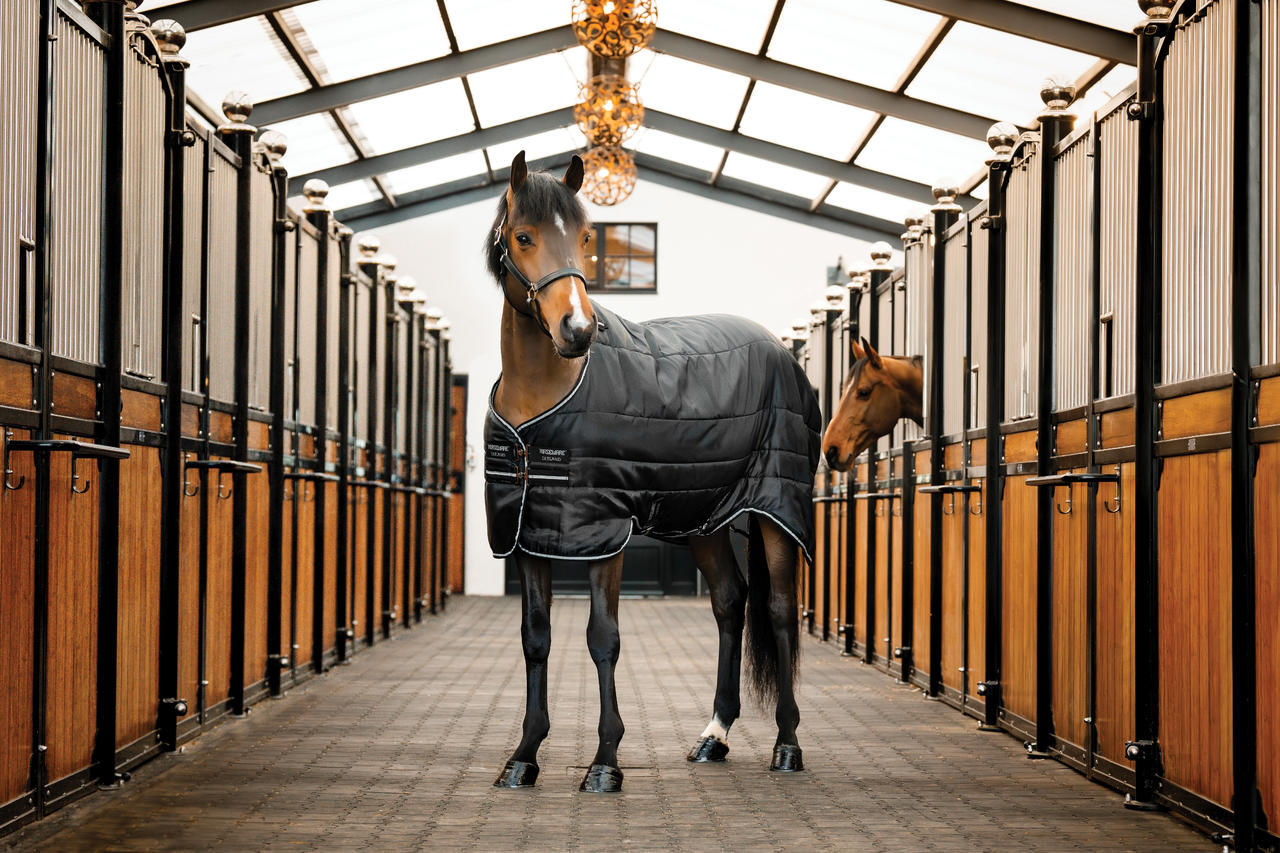 Horseware Easy-Layer Stable 100g