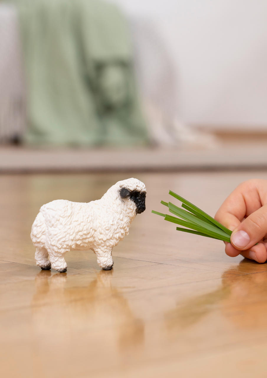 Schleich Walliser Schwarznasenschaf