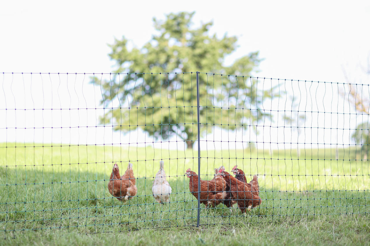 AKO PoultryNet Premium, 122cm, nicht elektr.