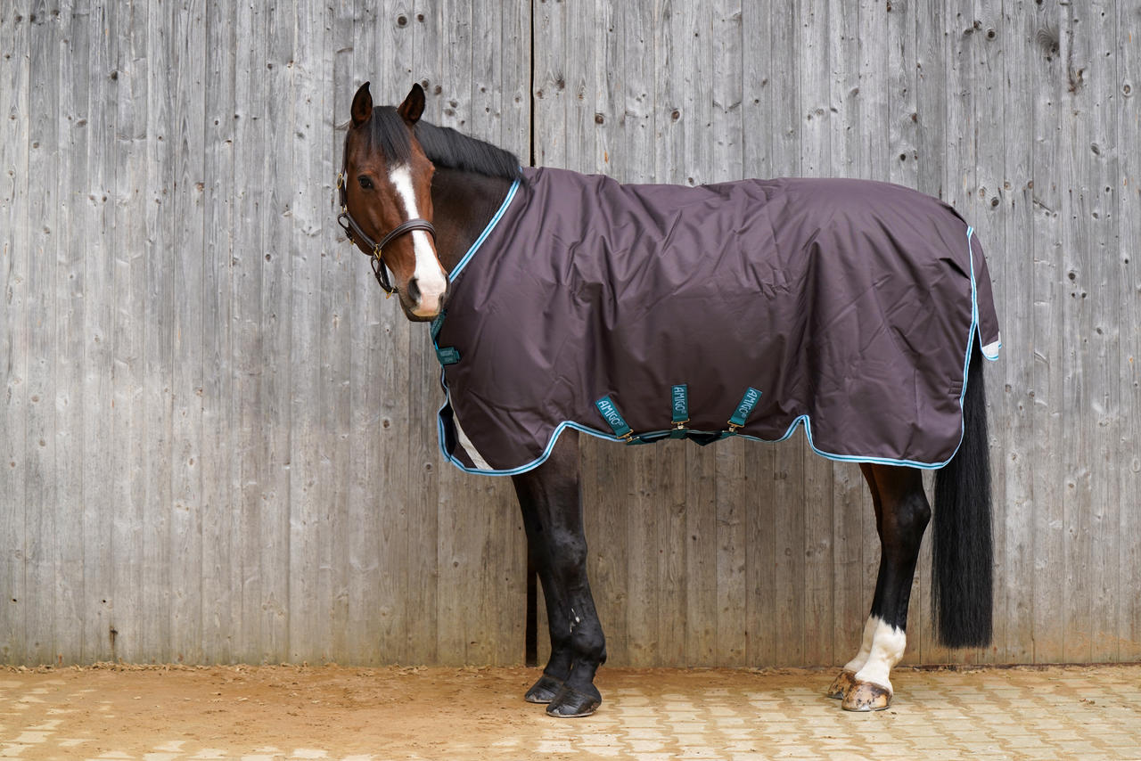 Horseware Amigo Bravo 12 Plus Turnout Medium 250g