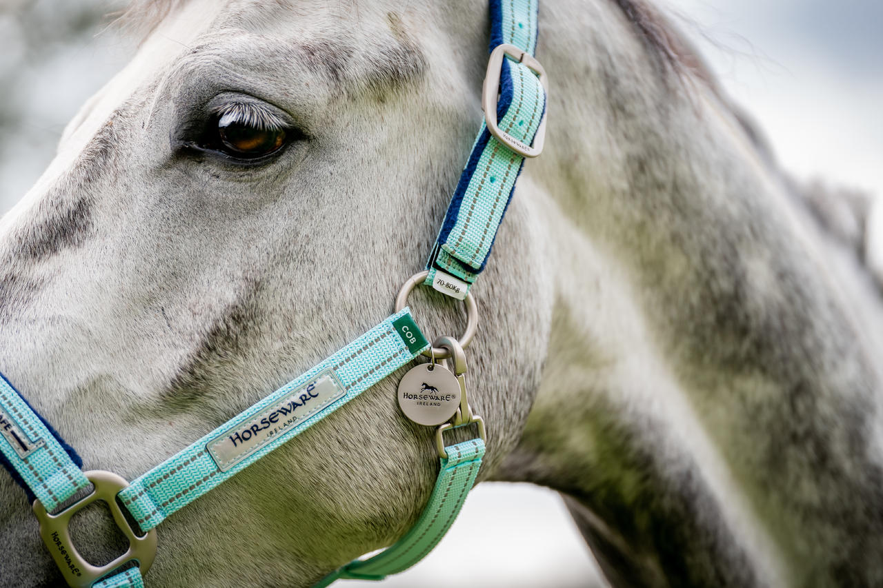 Horseware Field Safe Headcollar