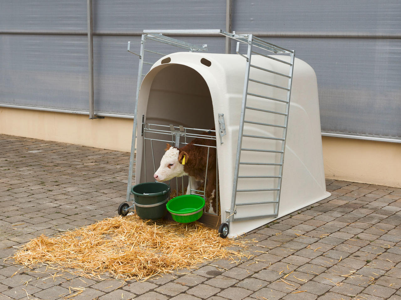 Kerbl Kälberiglu Calfhouse PREMIUM Plus schwer