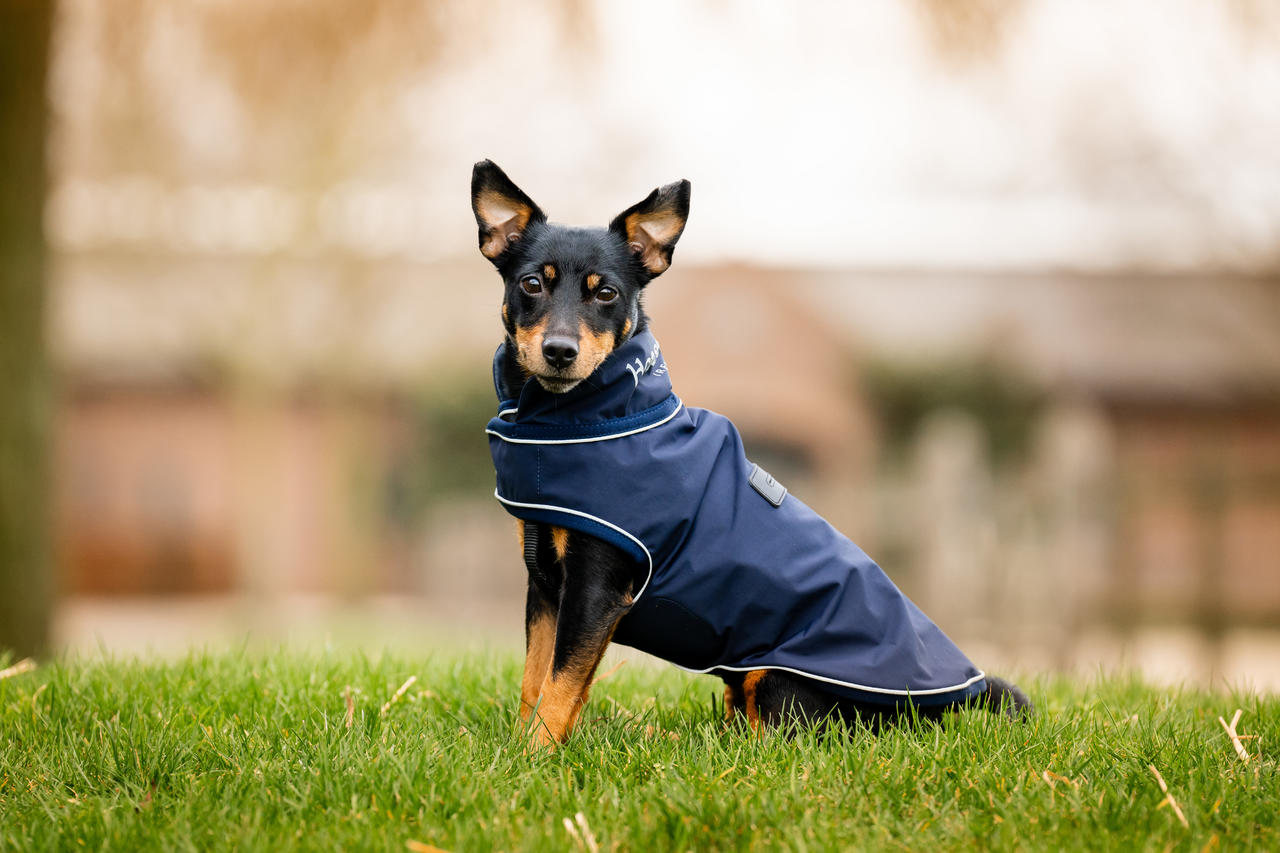 Horseware Signature Dog Rain Coat