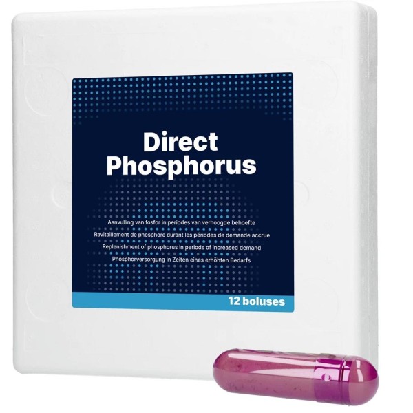 Holland Animal Care Direct Phosphorus – 12 Boli à 123 g